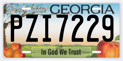 GA license plate PZI7229