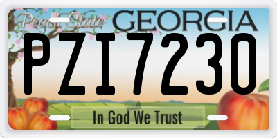 GA license plate PZI7230