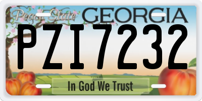 GA license plate PZI7232