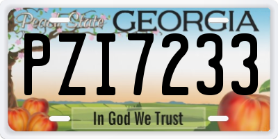 GA license plate PZI7233
