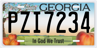 GA license plate PZI7234
