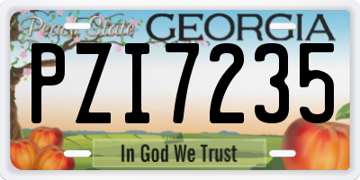 GA license plate PZI7235