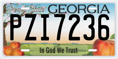 GA license plate PZI7236