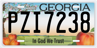 GA license plate PZI7238