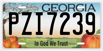 GA license plate PZI7239