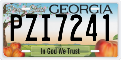 GA license plate PZI7241