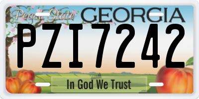 GA license plate PZI7242