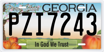 GA license plate PZI7243