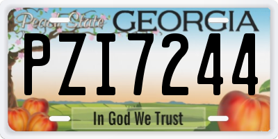 GA license plate PZI7244