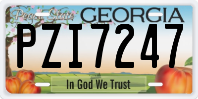 GA license plate PZI7247