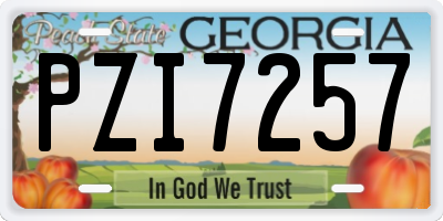 GA license plate PZI7257