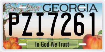 GA license plate PZI7261