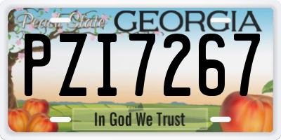 GA license plate PZI7267