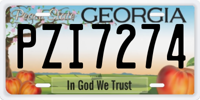 GA license plate PZI7274