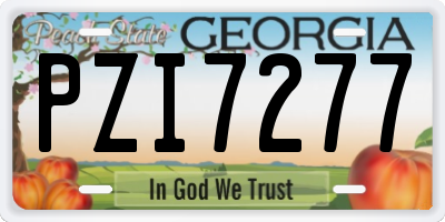 GA license plate PZI7277