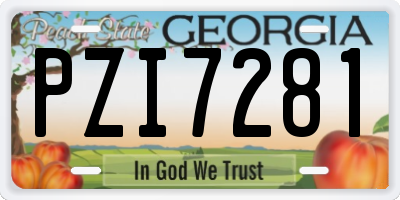 GA license plate PZI7281