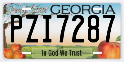 GA license plate PZI7287