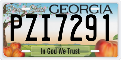 GA license plate PZI7291