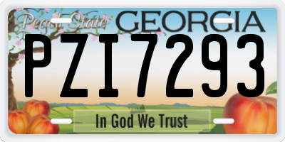GA license plate PZI7293
