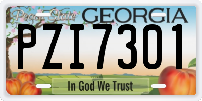 GA license plate PZI7301