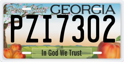 GA license plate PZI7302