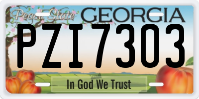 GA license plate PZI7303