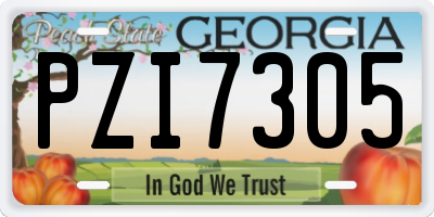 GA license plate PZI7305