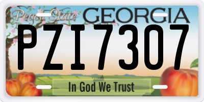 GA license plate PZI7307