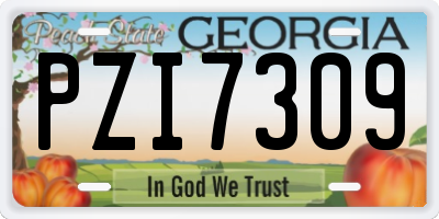 GA license plate PZI7309