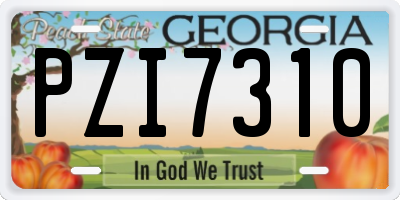 GA license plate PZI7310