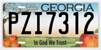 GA license plate PZI7312