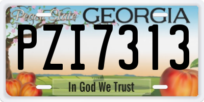 GA license plate PZI7313
