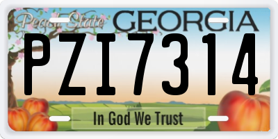 GA license plate PZI7314
