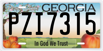 GA license plate PZI7315