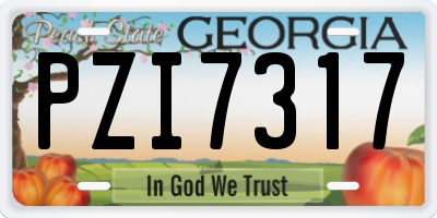 GA license plate PZI7317