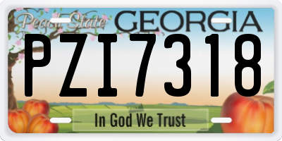 GA license plate PZI7318