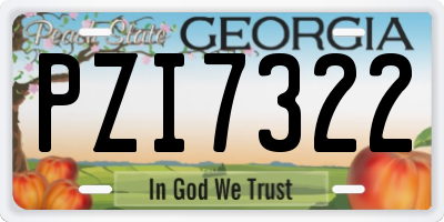 GA license plate PZI7322
