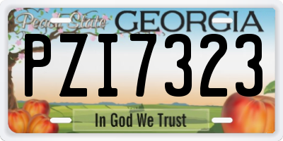 GA license plate PZI7323