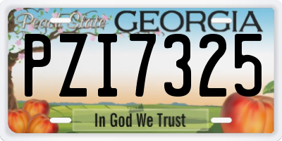 GA license plate PZI7325