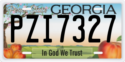 GA license plate PZI7327