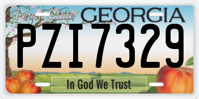 GA license plate PZI7329