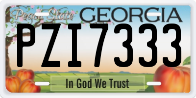 GA license plate PZI7333
