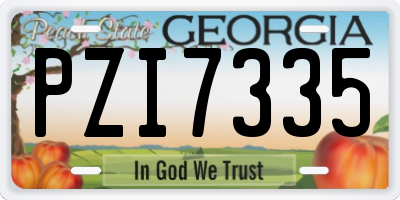 GA license plate PZI7335
