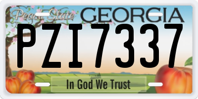 GA license plate PZI7337