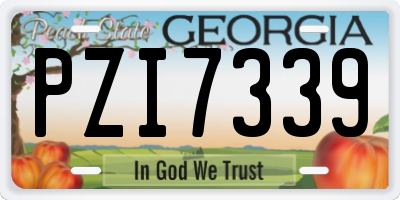 GA license plate PZI7339