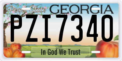 GA license plate PZI7340