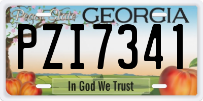 GA license plate PZI7341