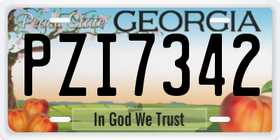 GA license plate PZI7342
