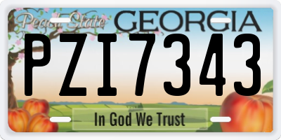 GA license plate PZI7343