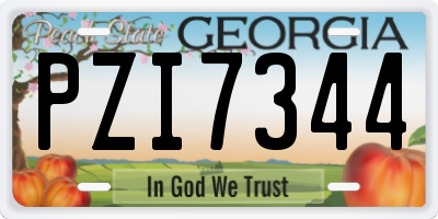 GA license plate PZI7344
